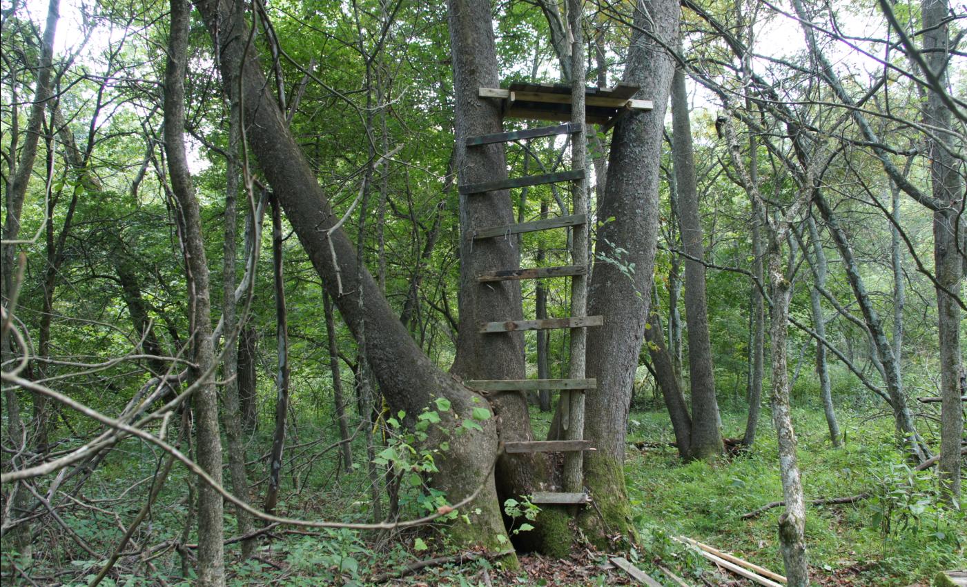 Deer Hunting Tree Stands